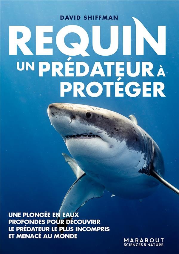 Attaque de requins: des prédateurs pas si menaçants, menacés, utiles