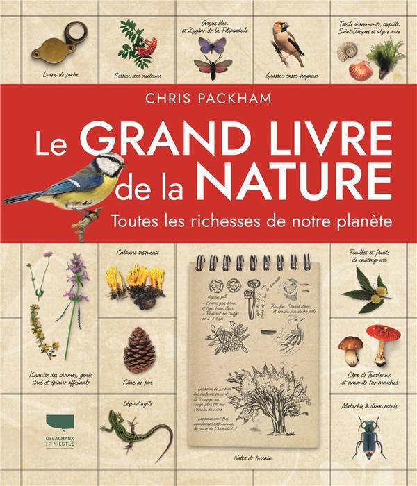 Kit oiseaux en argile  Nature & Découvertes