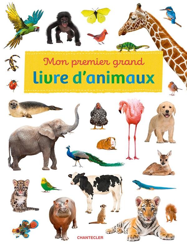 Mon premier animalier - Les bébés animaux