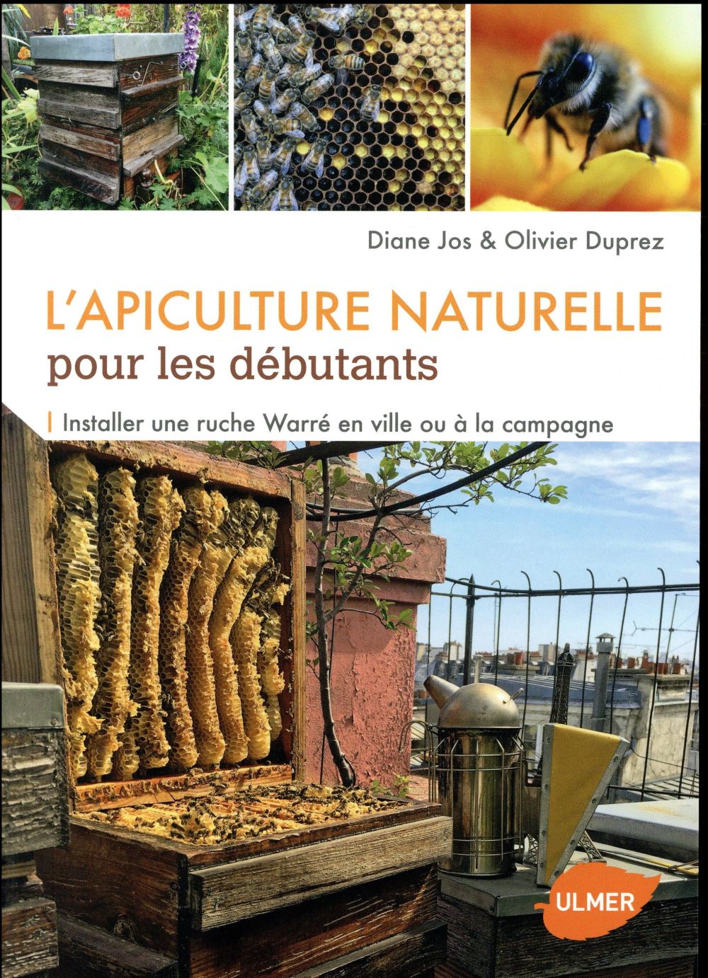 Une ruche dans mon jardin : le cycle de vie des abeilles : Femme