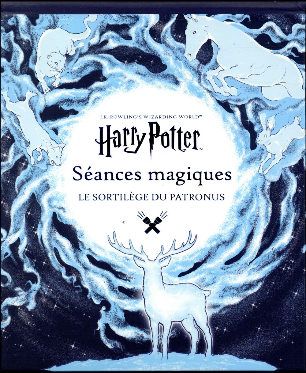 Harry Potter : Histoire de la magie, tome 1 : À la découverte des  Sortilèges et de la Défense contre les forces du Mal