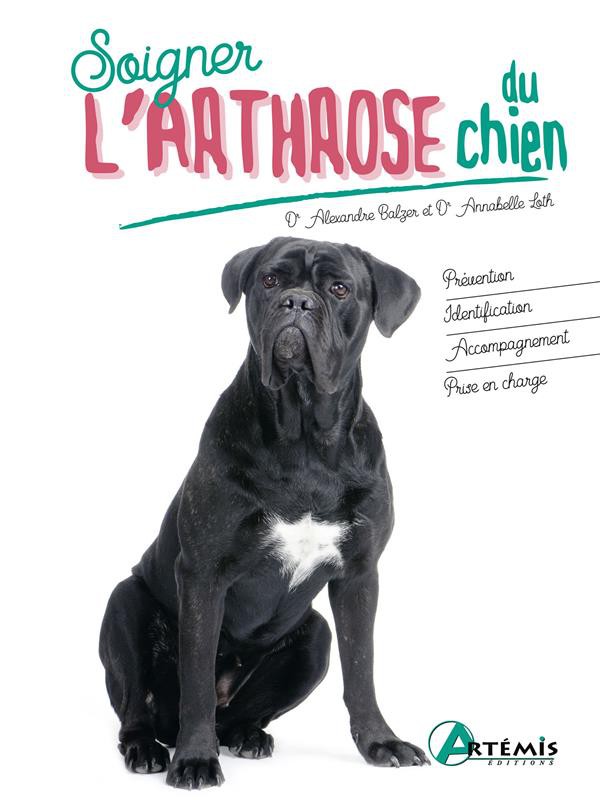 Soulager l'arthrose chez le chien - SPA de Lyon et du Sud-Est