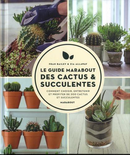 Comment rempoter un cactus ? Conseils et bonnes pratiques !