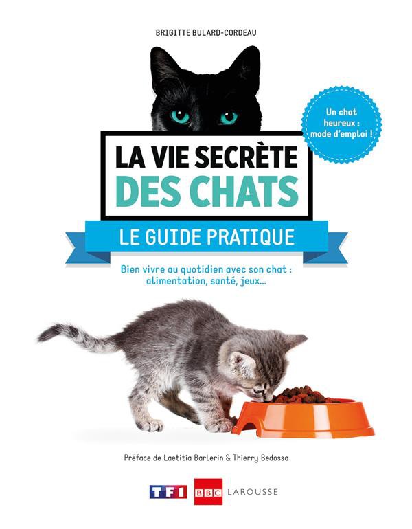 Guide d'alimentation des chats