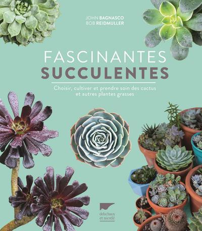 Plantes grasses et succulentes : guide pour les entretenir