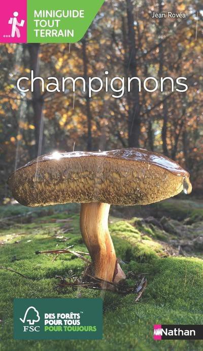 champignons  pass Culture