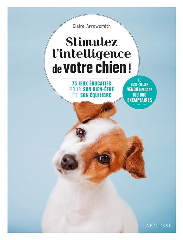 Jouets interactifs et éducatifs pour chien : Éveillez l'intelligence et le  bonheur de votre chien