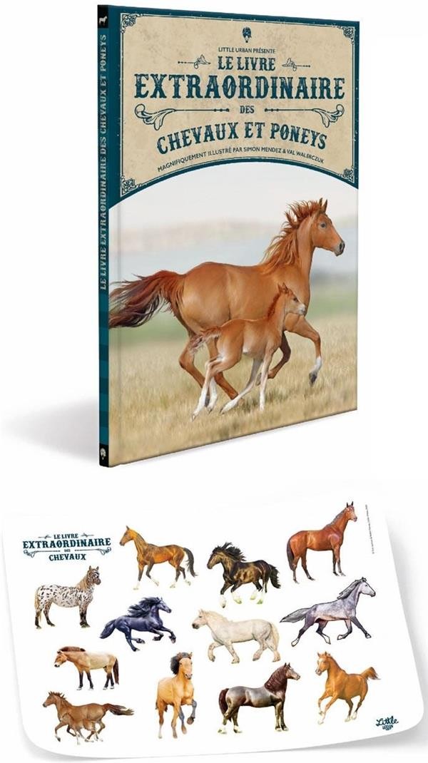 Livre Défis Nature - Chevaux et Poneys