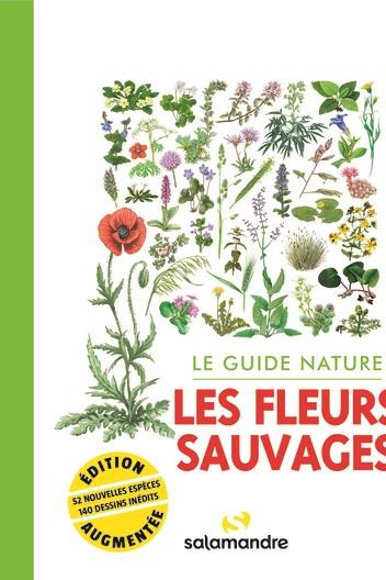 Le grand livre des plantes médicinales • Nature & Découvertes Suisse