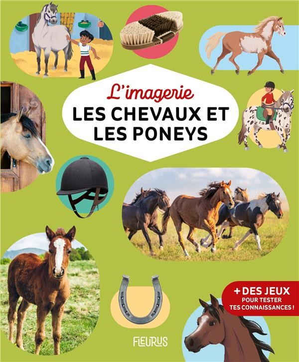 Livre Défis Nature - Chevaux et Poneys