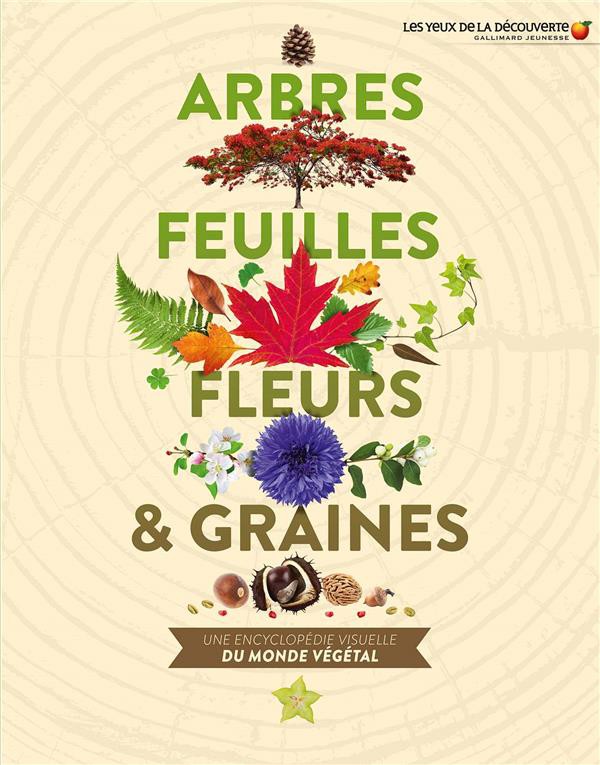 Graines pour Plantes Tropicales - Le Comptoir des graines