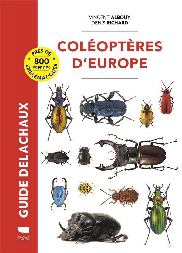 Guide du naturaliste  12 espèces d'insectes communs