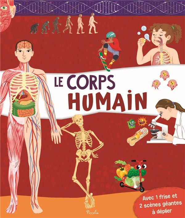 Présentation visuelle de l'anatomie humaine