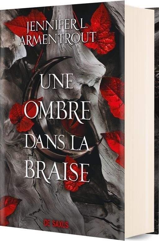 La passe-miroir, tome 1 : Les fiancés de l'hiver - Books & Dreams