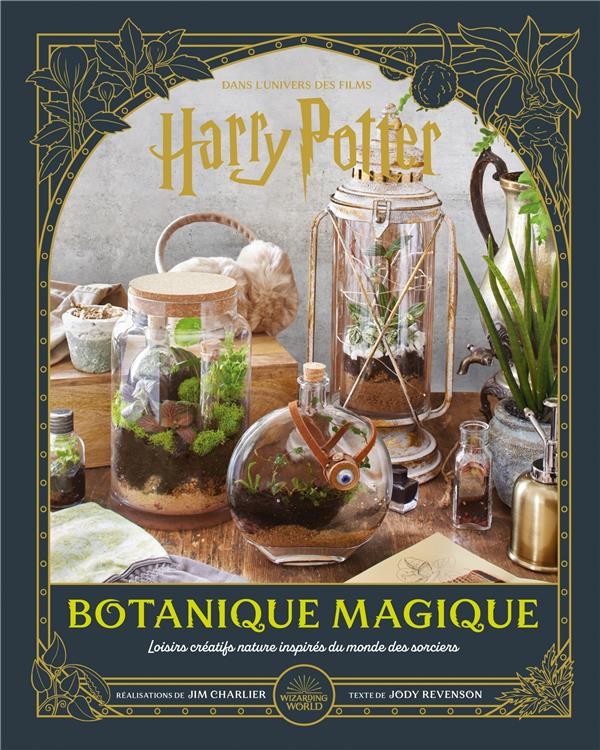 Baguette magique Harry Potter - Monde des sorciers