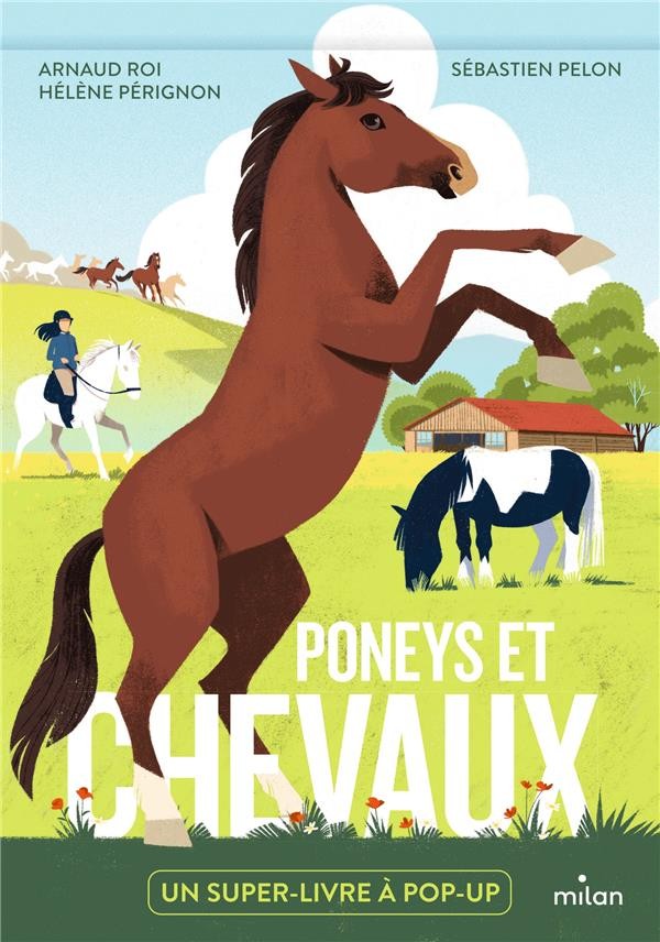 Quelles sont les différences entre un cheval et un poney ?