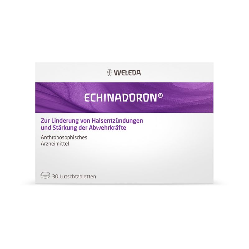 Echinadoron
