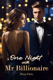 One Night with Mr Billionaire