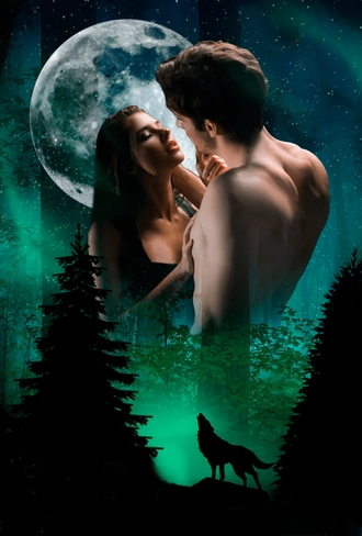 Maine (Wolfstate Chronicles)