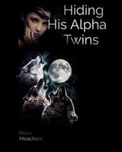 Hiding His Alpha Twins