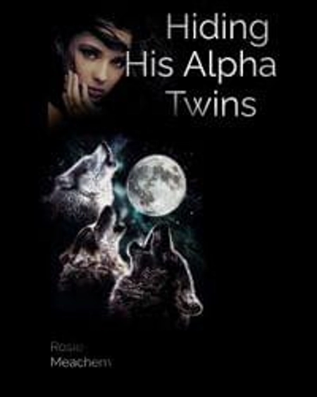 Hiding His Alpha Twins