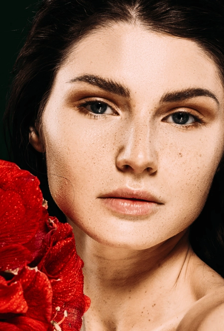 Hasta La Proxima Vez (Kristine Series 16)