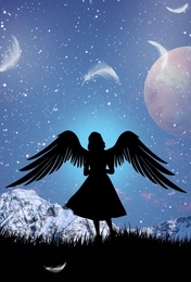 White Feathers Academy