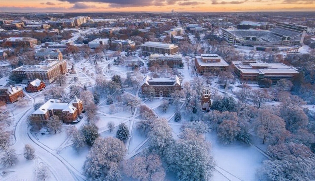 Michigan State University campus banner