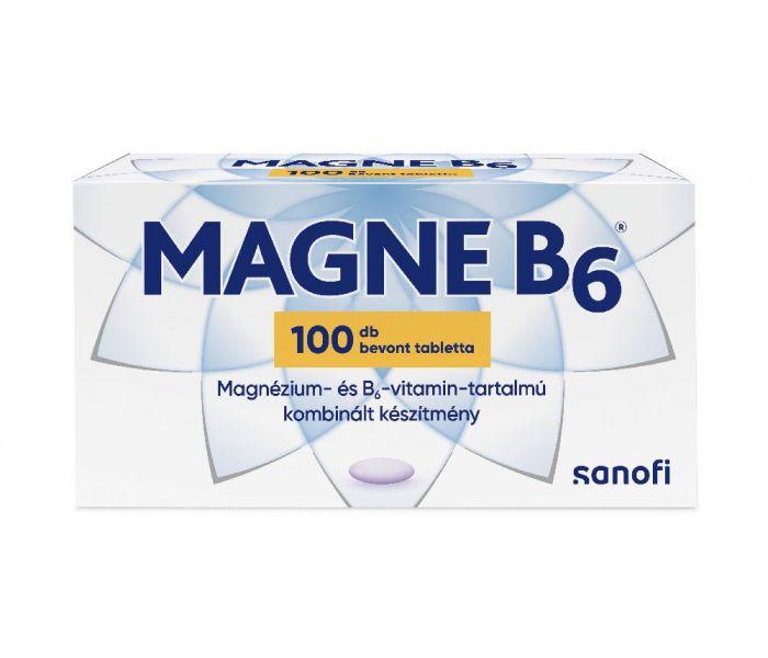 Magne B6