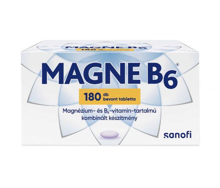 Magne B6