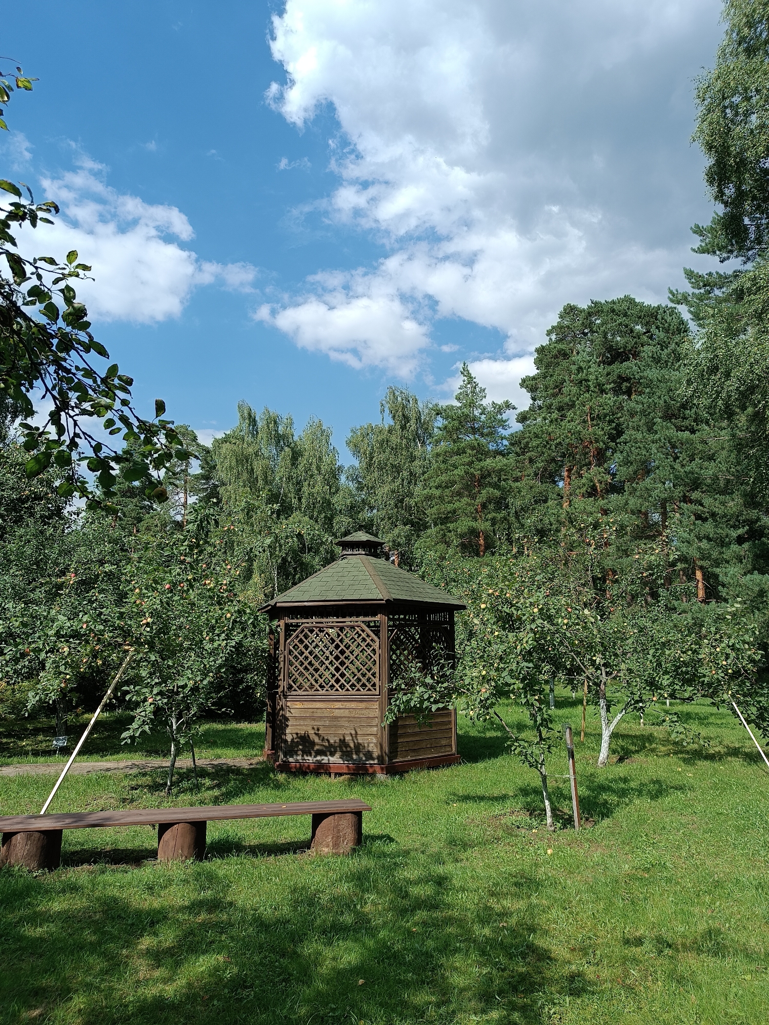 Summer afternoon in a Bykovo park, flowers, sculptures, and forest floor finds.