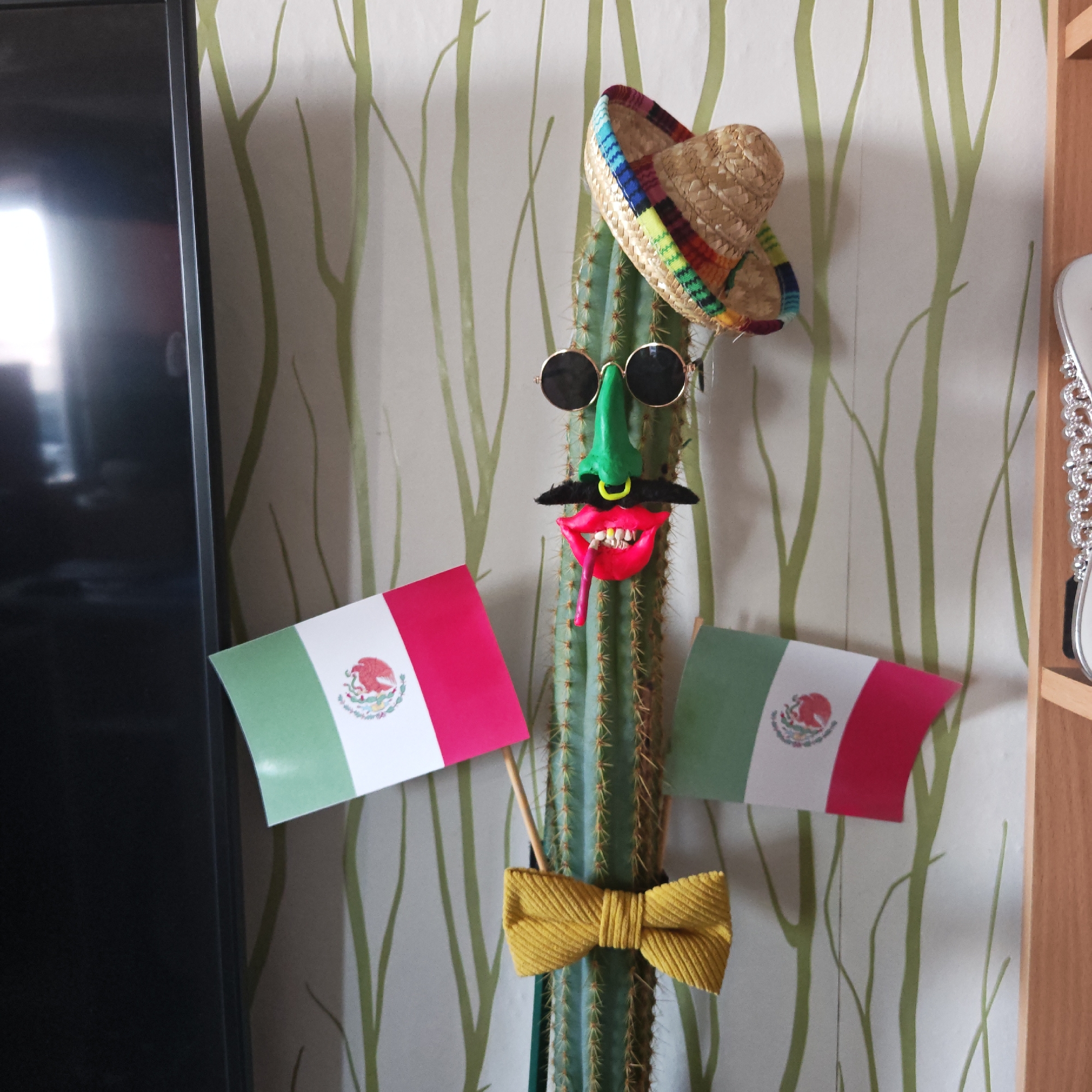 Decorated cactus display documented in Rostov home interior