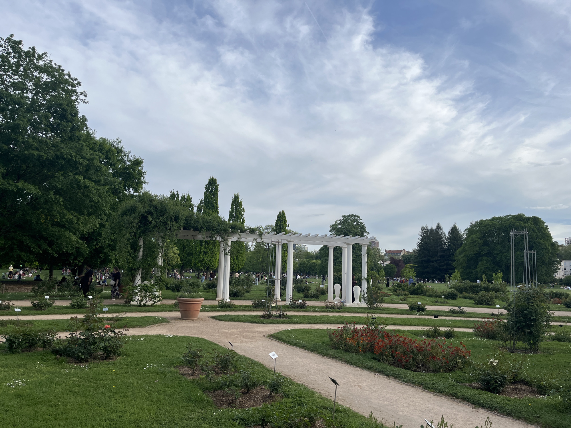 Rose garden with white pergola observed at Lyon park