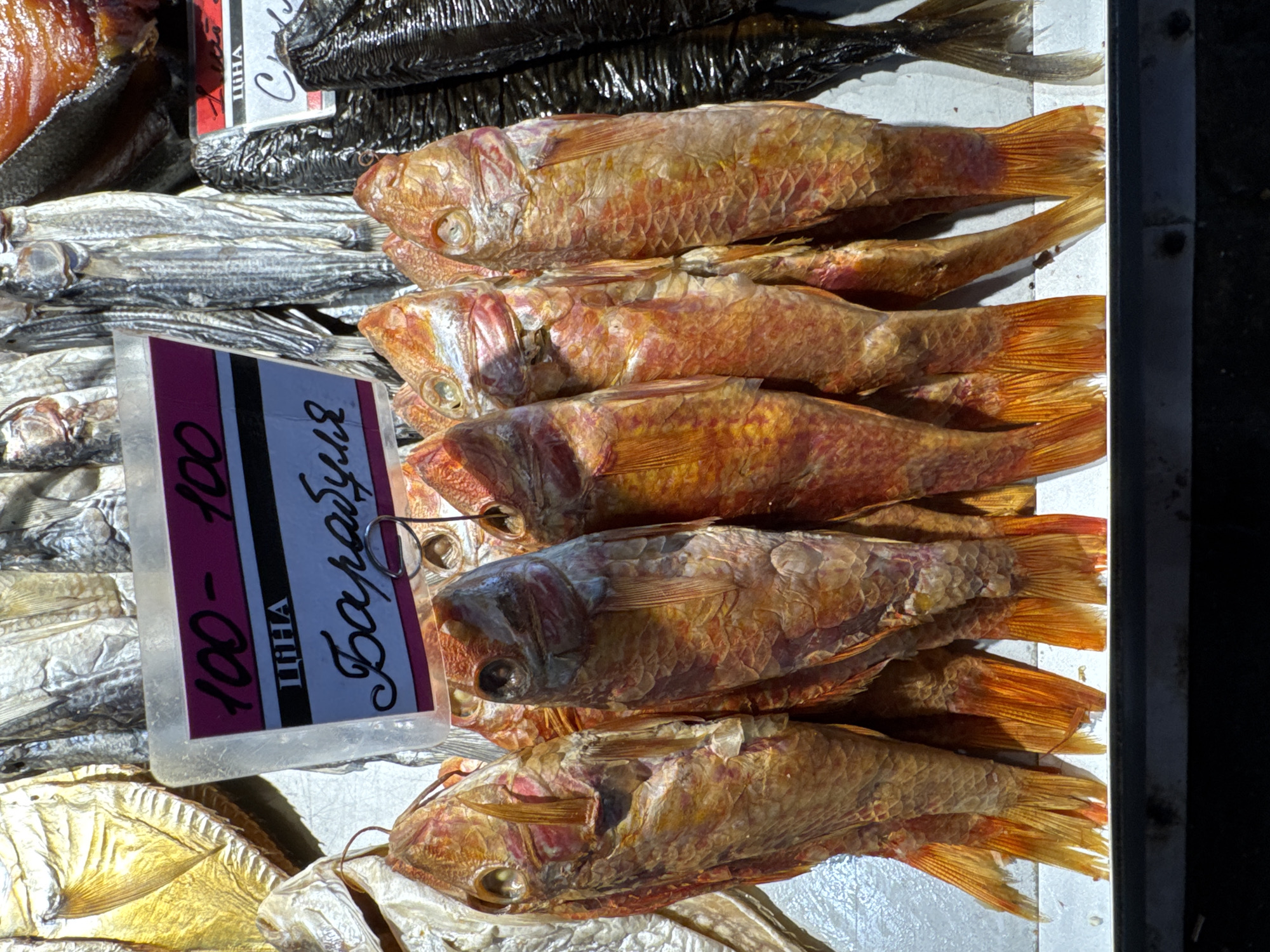 Summer market in Odesa: fish, fresh peppers, and watermelons