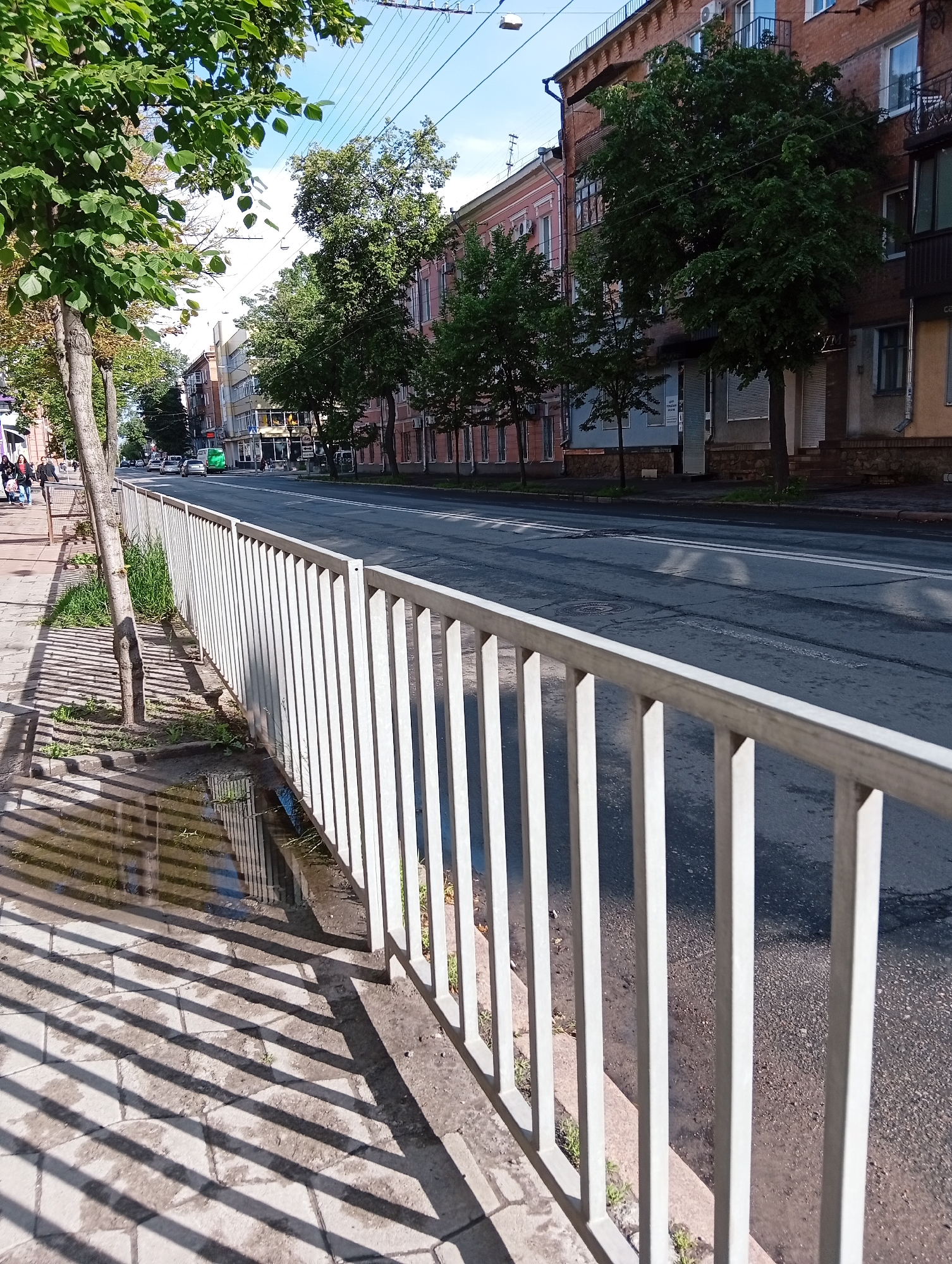 Daily life documented in Poltava streets, flowers, decorations