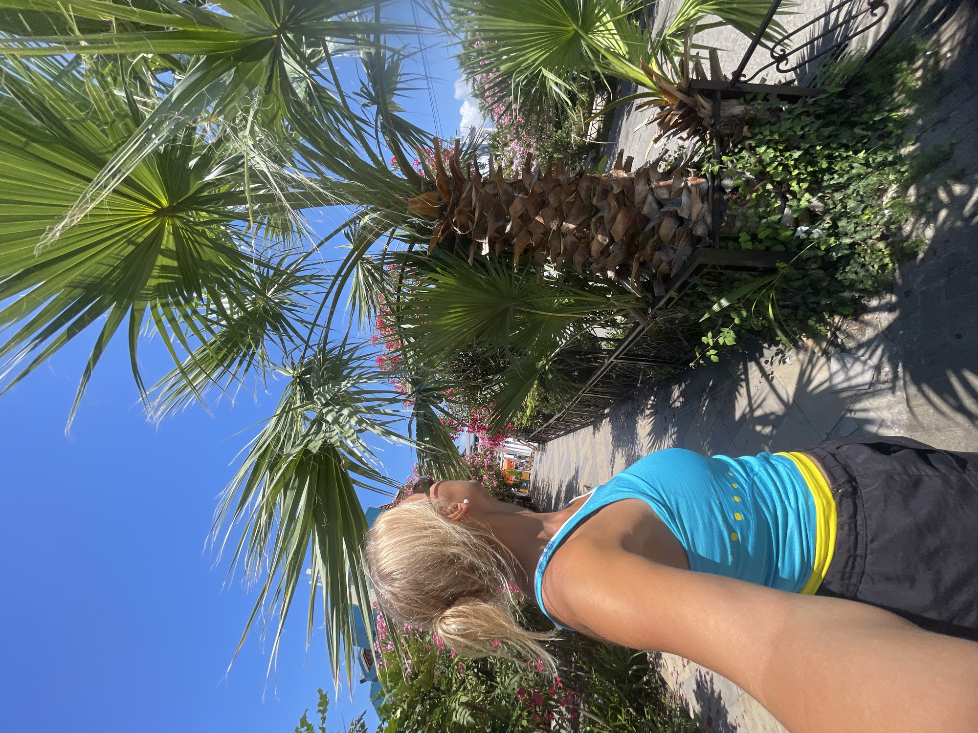 Sochi promenade in bloom, oleanders and palm trees under blue sky