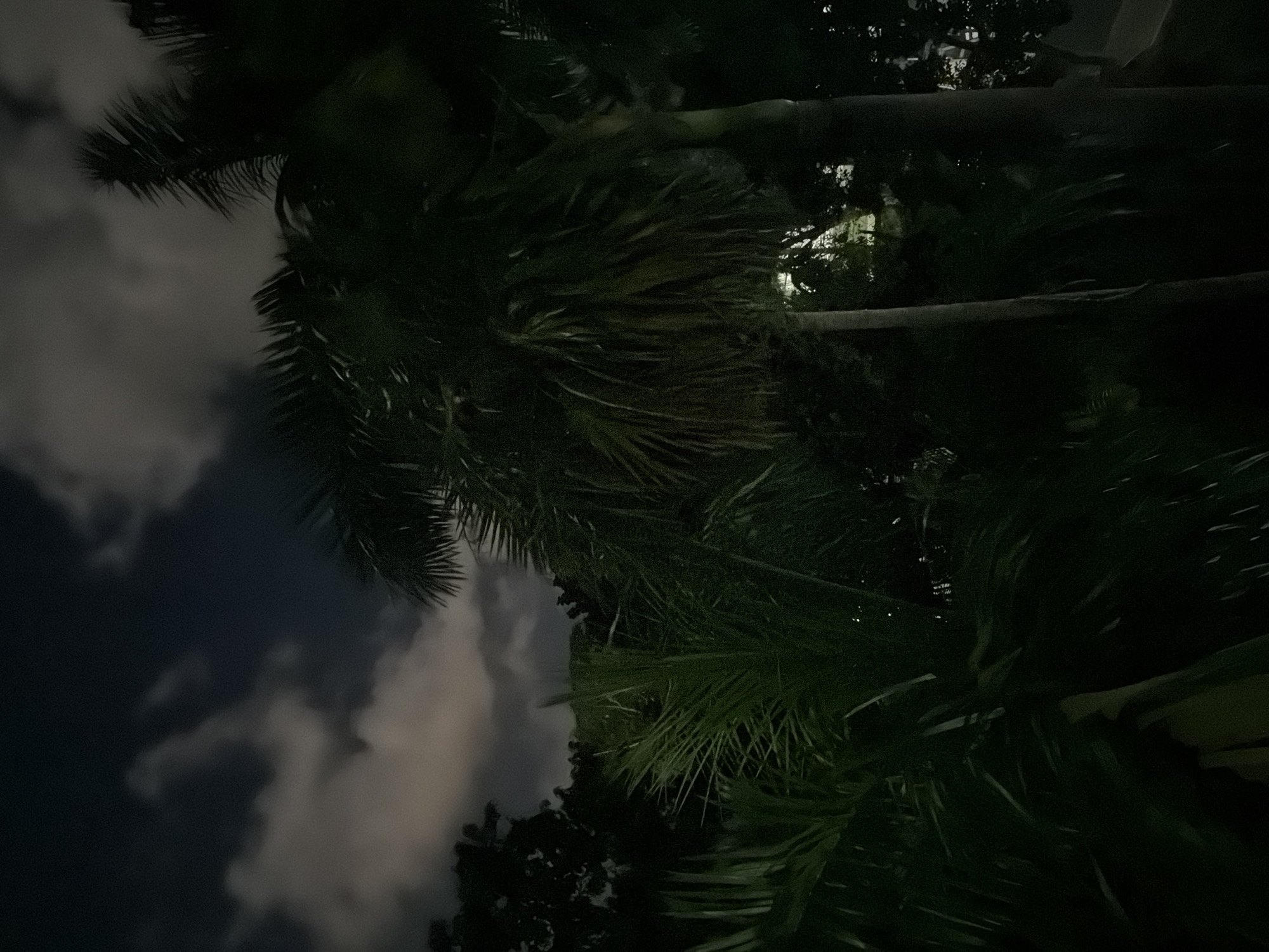 Dark nighttime scenes captured in Playa del Carmen