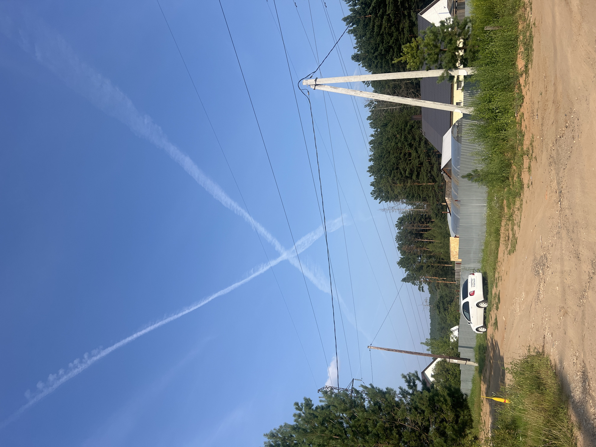 Dogs and contrails on a quiet rural afternoon in Chaikovsky