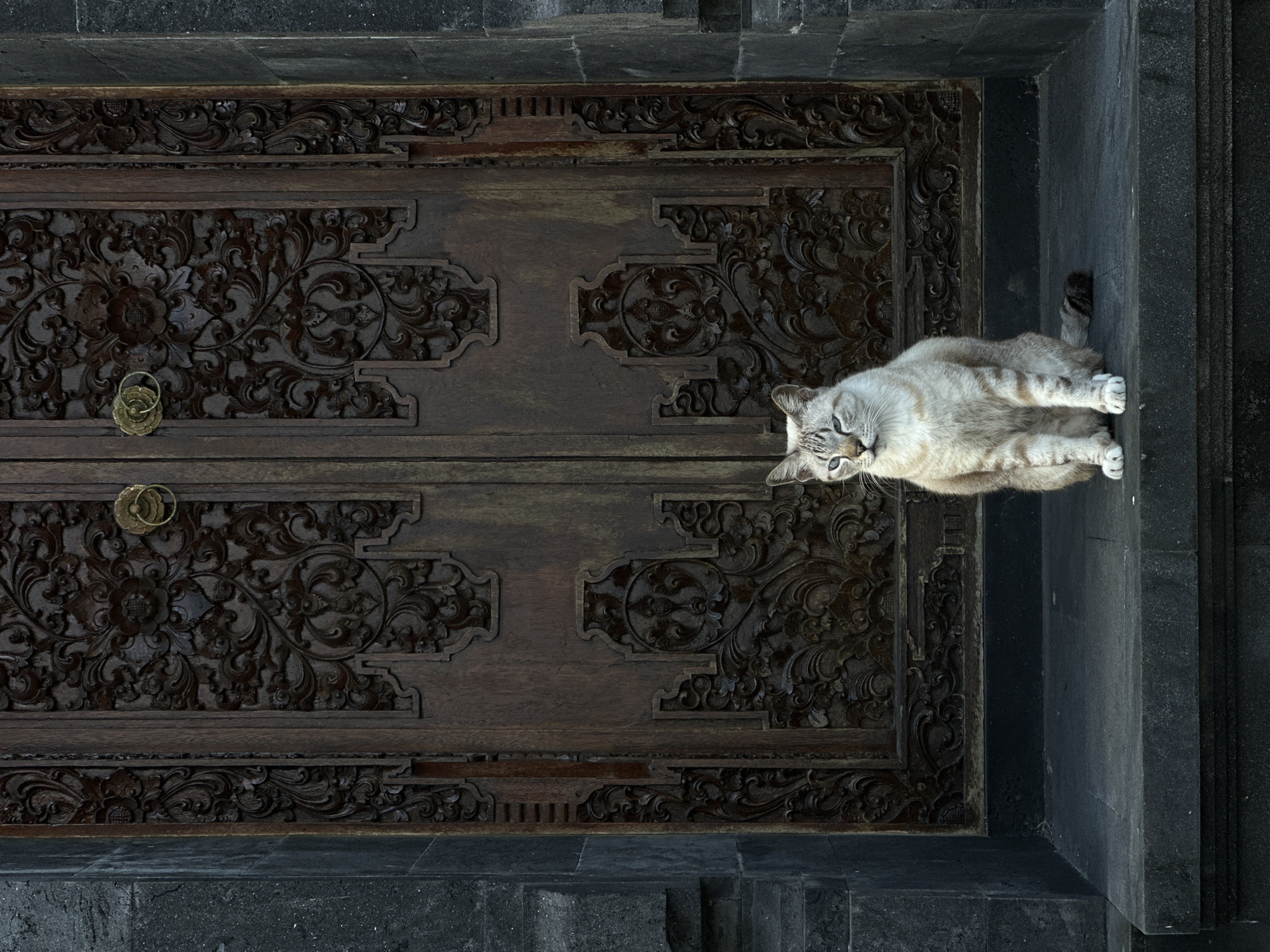 Tabby cat lounging on steps of a carved Balinese door