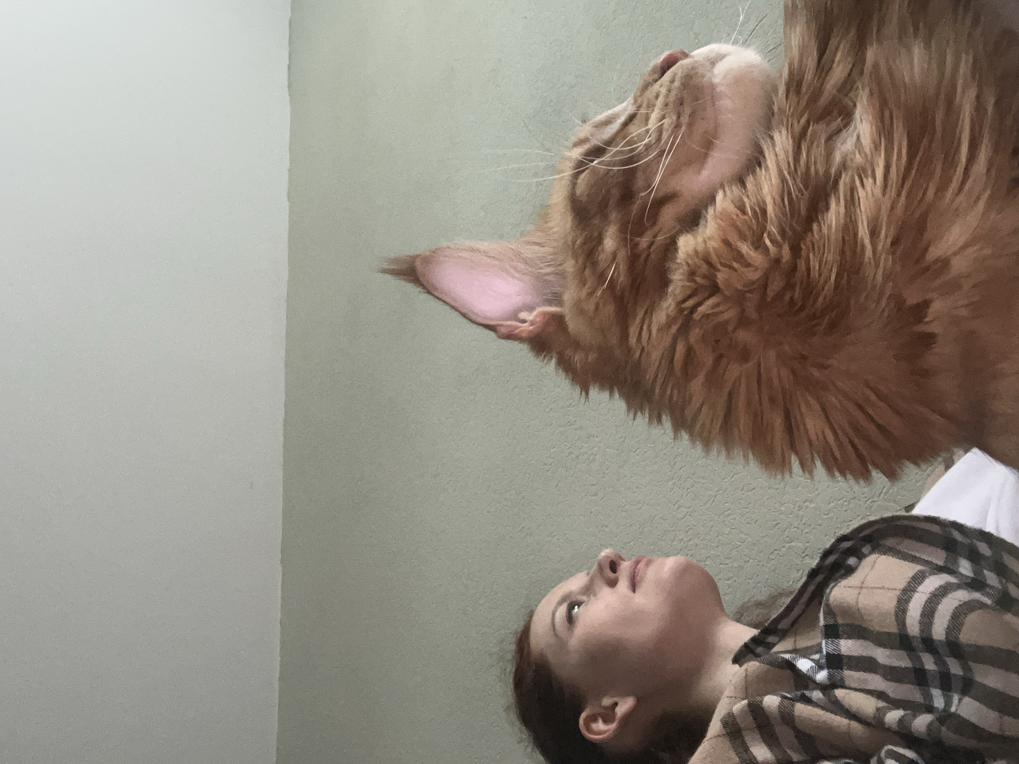 Woman photographs daily moments with ginger cat, dachshund in Petersburg