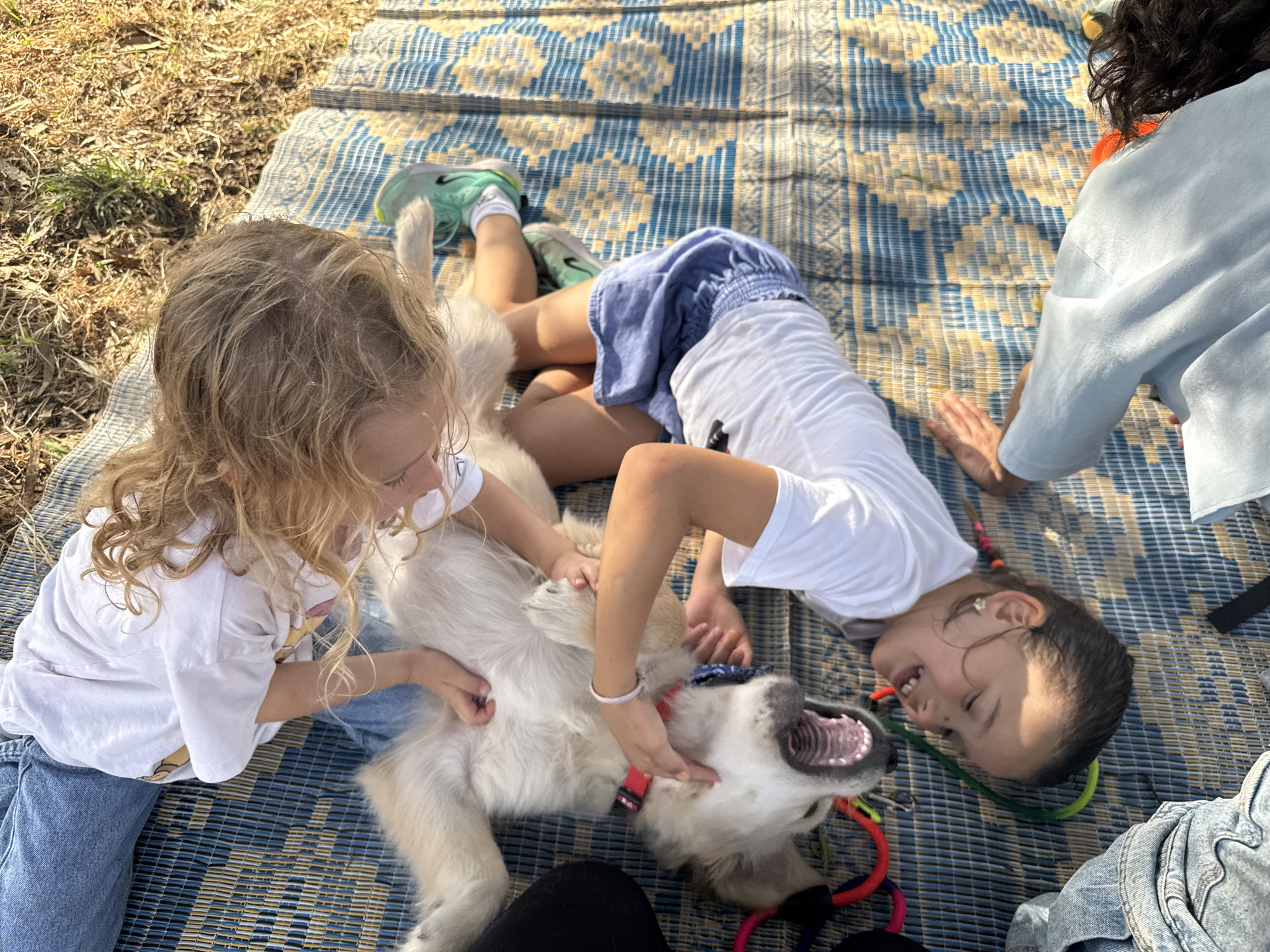 Family enjoys outdoor barbecue and playtime in Netanya park