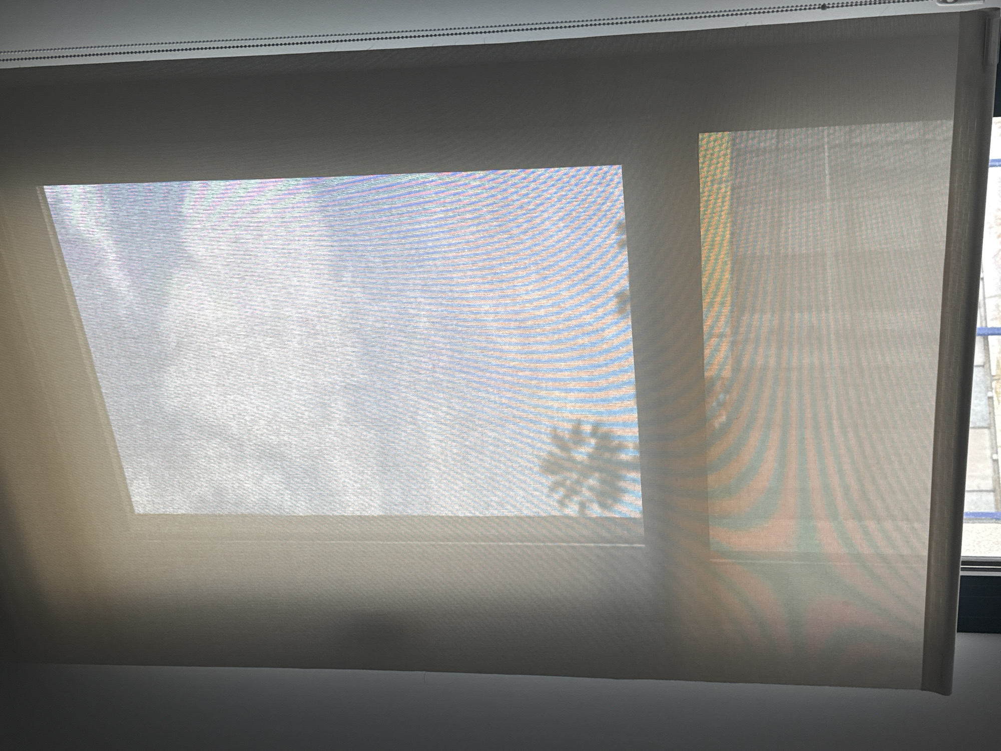 Window shade reveals palm tree view in Spanish town