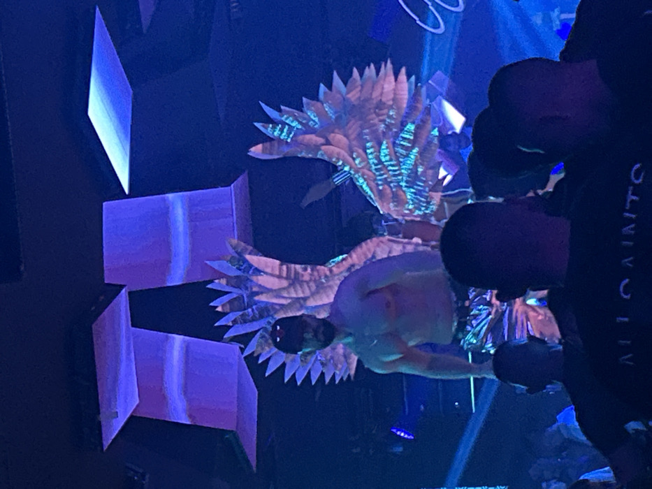 Sofia nightclub scene draws crowds during early morning performances
