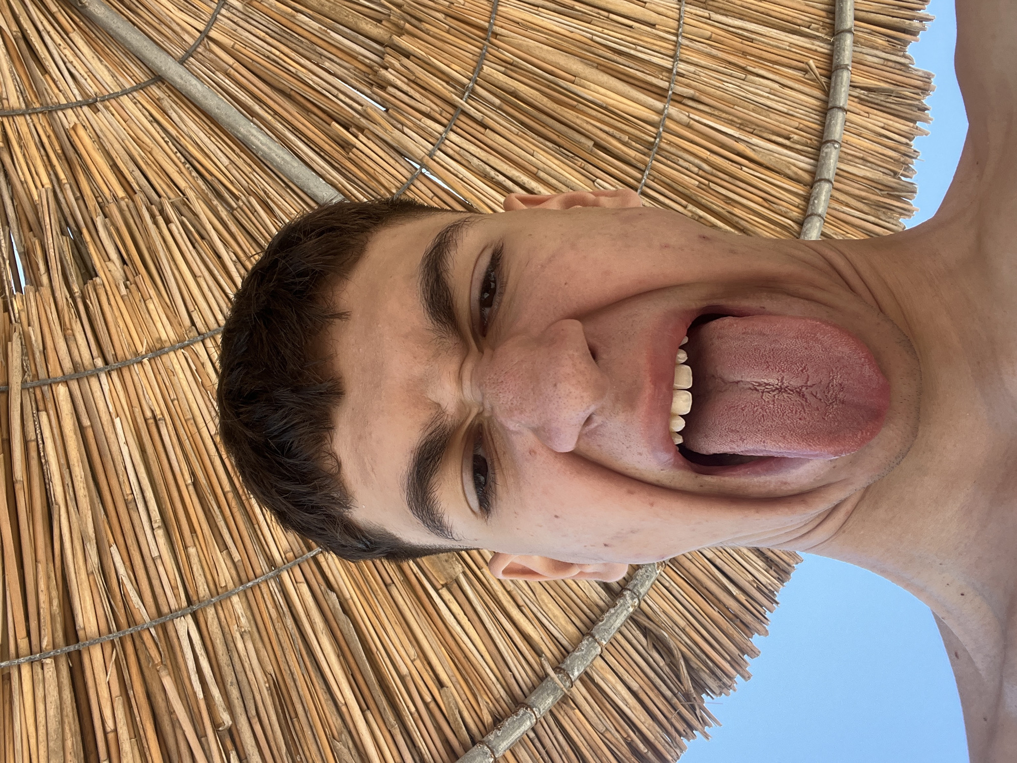 Beachgoer documents hour-long visit to Varna coast with selfies