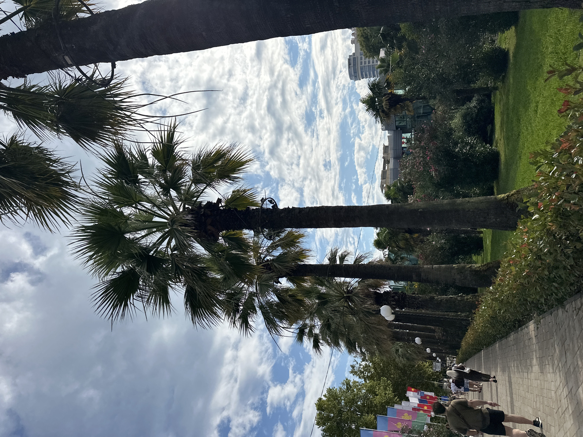 Sunny afternoon walk along Sochi's palm-lined promenade