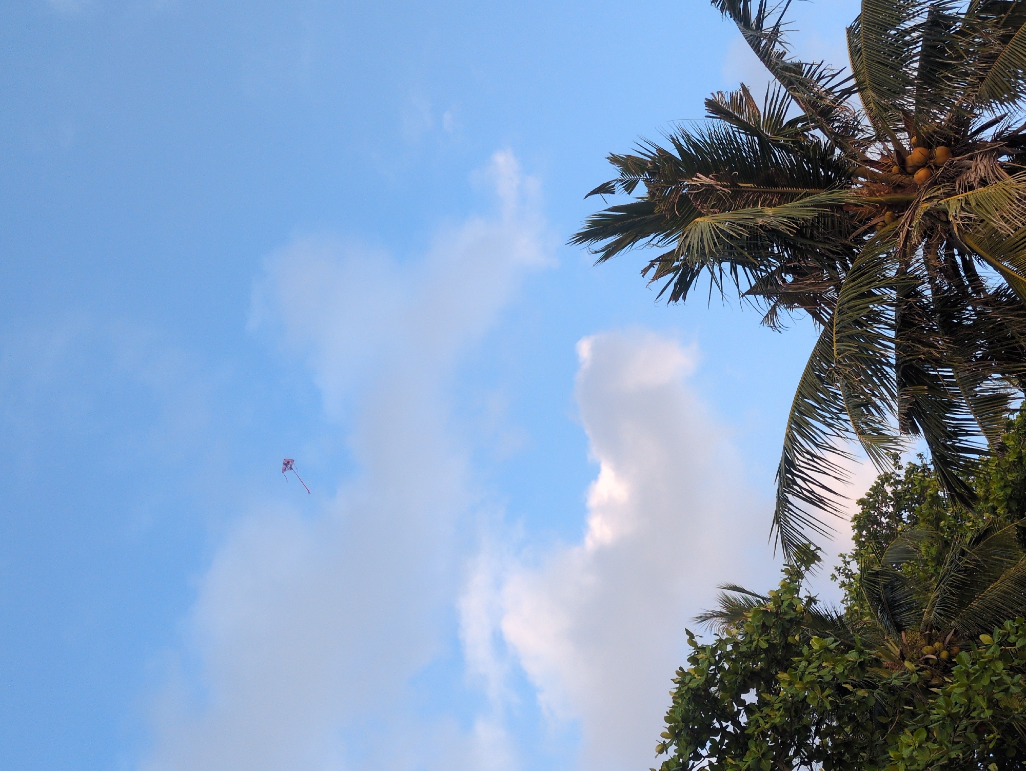Kite flying and sunset captured in Phú Quốc skies