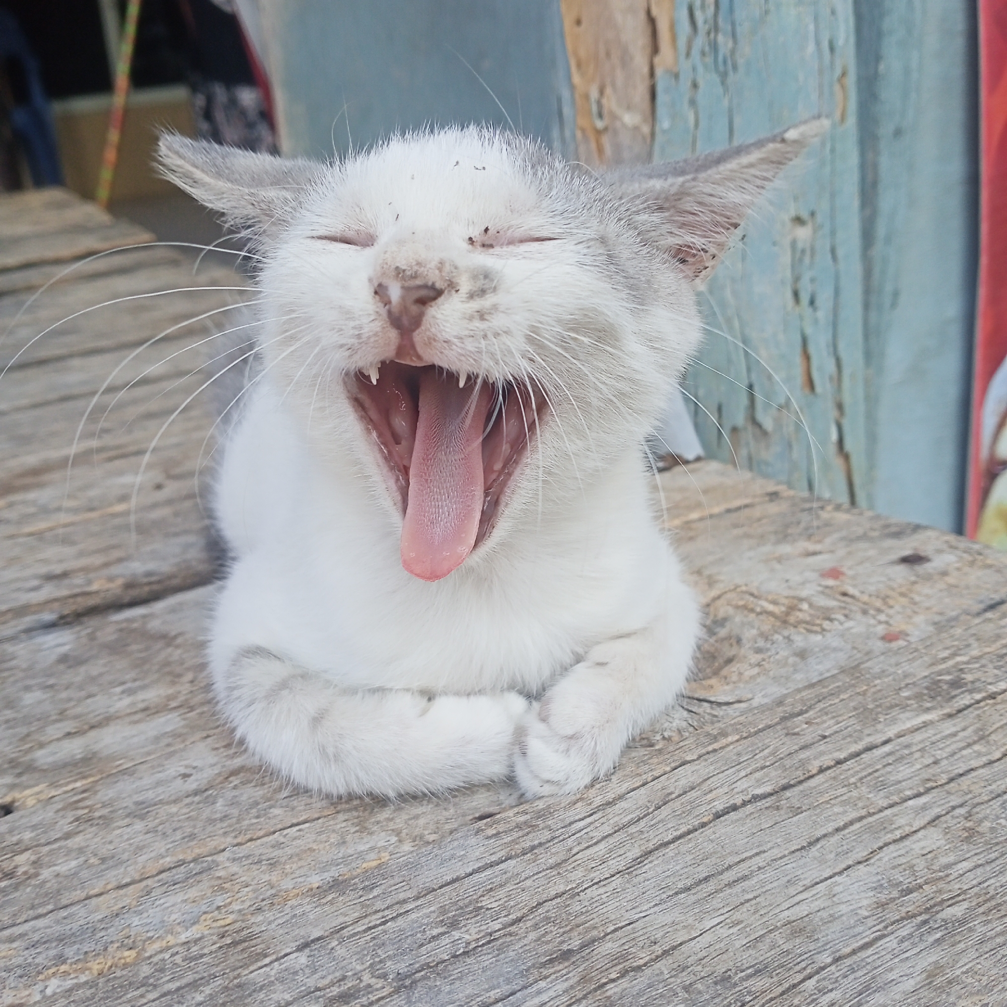 Ketowan, Indonesia