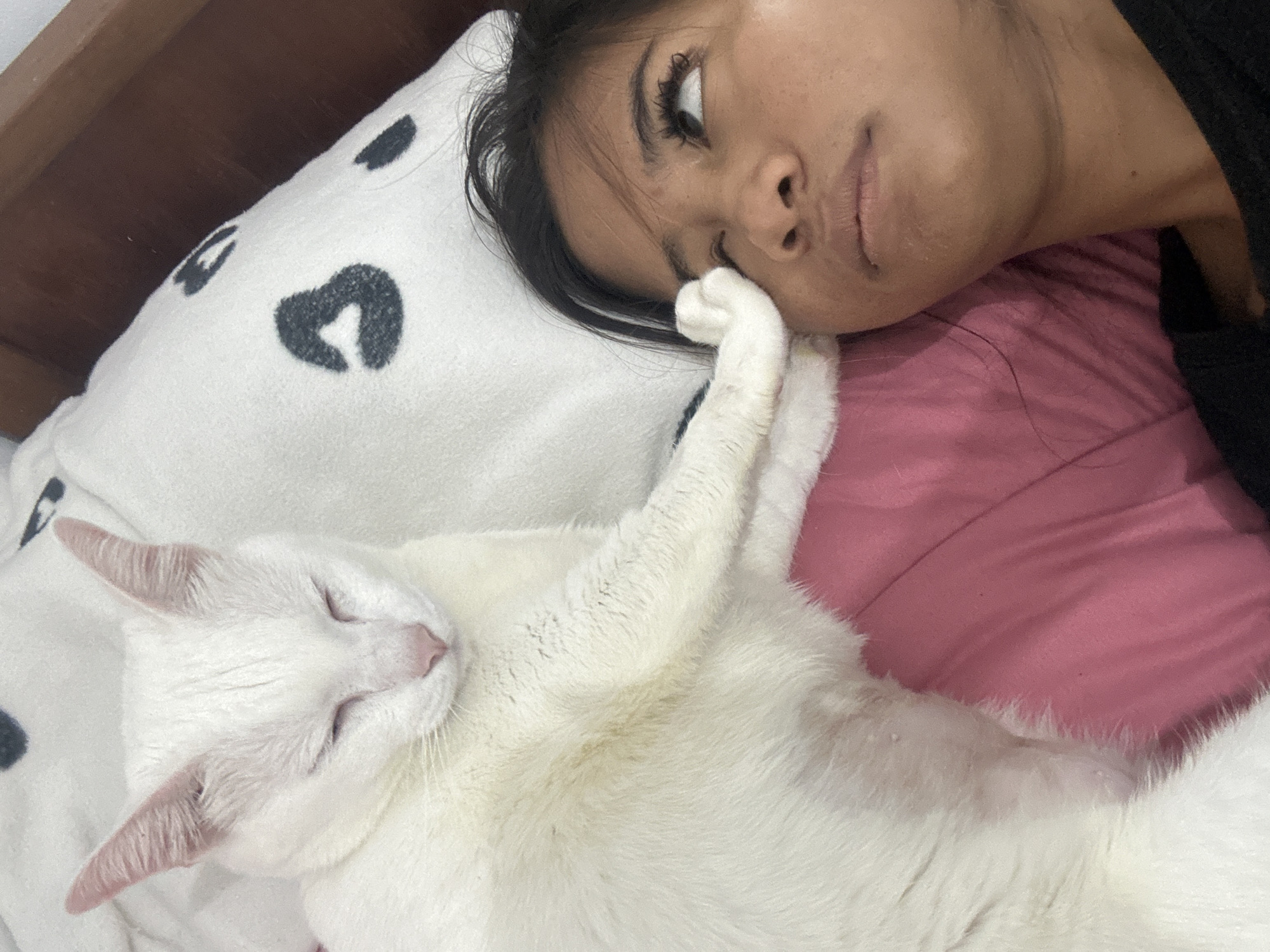 Woman documents quiet morning moments with heterochromatic cat in Indonesia