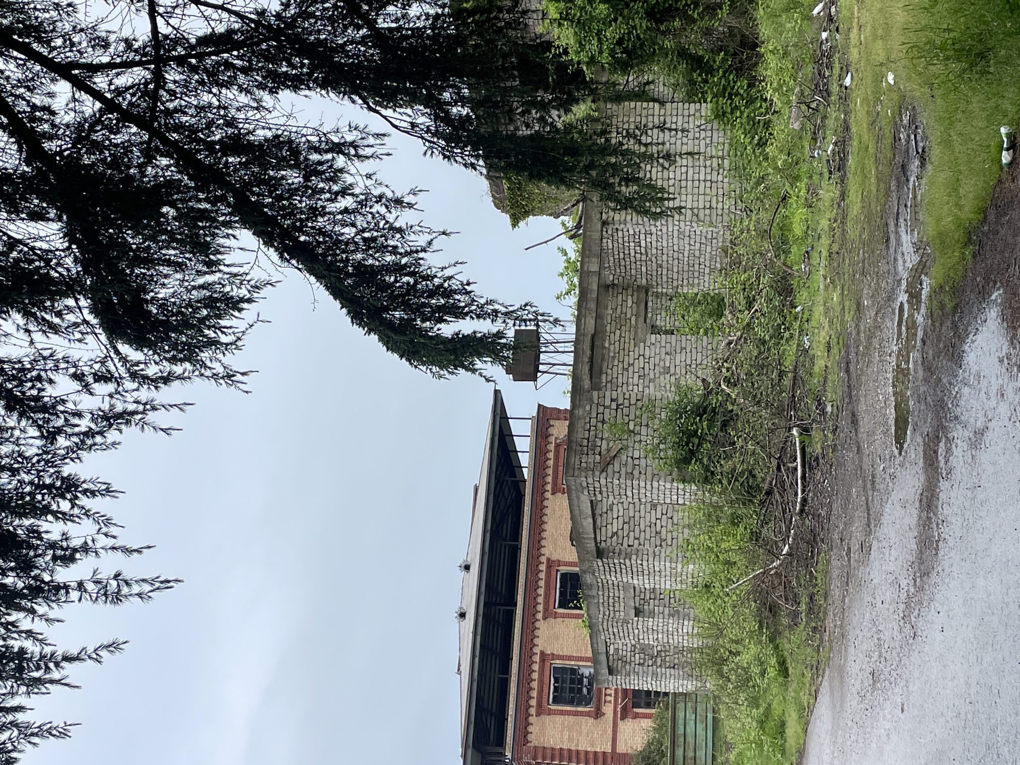 Urban decay documented in abandoned Giachrypsh district, Abkhazia