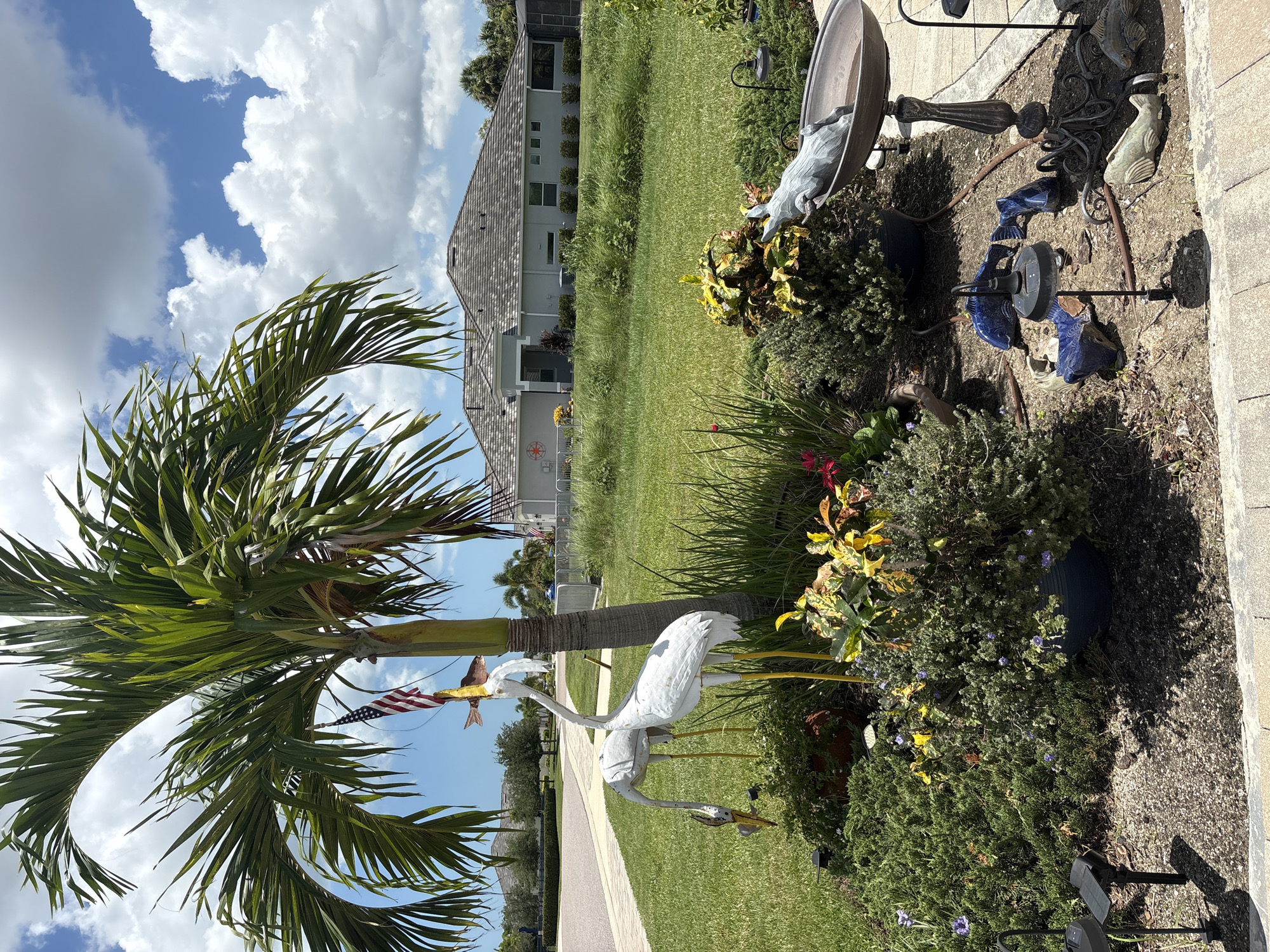 Sarasota suburb on a sunny afternoon, yards and all